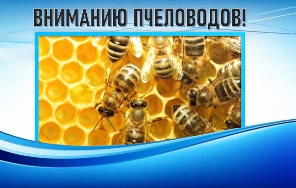 Уважаемые пчеловоды!. Уважаемые пчеловоды!.